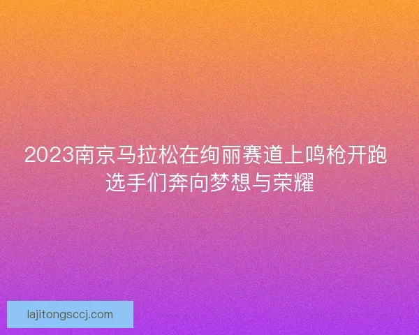 2023南京马拉松在绚丽赛道上鸣枪开跑 选手们奔向梦想与荣耀