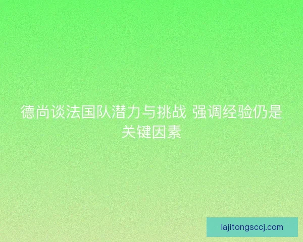 德尚谈法国队潜力与挑战 强调经验仍是关键因素