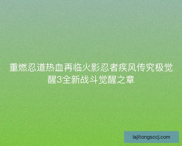 重燃忍道热血再临火影忍者疾风传究极觉醒3全新战斗觉醒之章